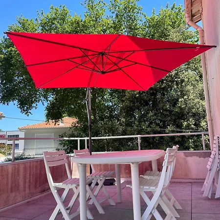 Demi Maison Avec Terrasse Et Jardin 3 6 Pers Lejlighed