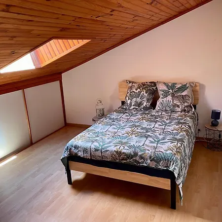 Demi Maison Avec Terrasse Et Jardin 3 6 Pers * رويا